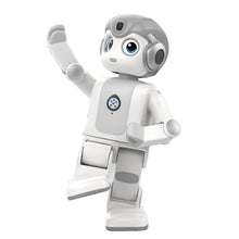 Load image into Gallery viewer, PRI030101 玩轉機械人-Alpha Mini