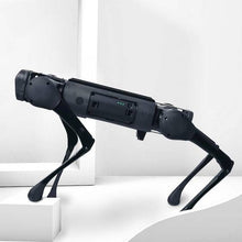 Load image into Gallery viewer, ParaBOT. Rent-A-BOT. Unitree Aliengo.