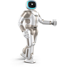 Load image into Gallery viewer, ParaBOT. Rent-A-BOT. UBTech Walker.