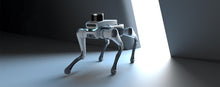 Load image into Gallery viewer, deeprobotics lite3
