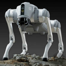 Load image into Gallery viewer, Unitree Go2-pro with controller
