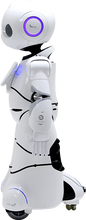 Load image into Gallery viewer, ParaBOT. Rent-A-BOT. Canbot U05
