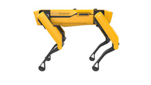 Load image into Gallery viewer, ParaBOT. Rent-A-BOT. Boston Dynamics Spot.
