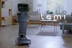 ParaBOT. Rent-A-BOT. Temi Black.