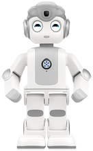 Load image into Gallery viewer, ParaBOT. Rent-A-BOT. UBTech Alpha Mini.
