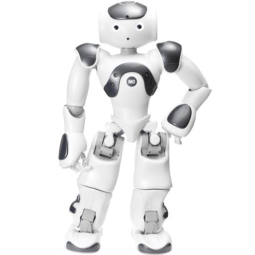 ParaBOT. Rent-A-BOT. Softbank Nao V6 White.